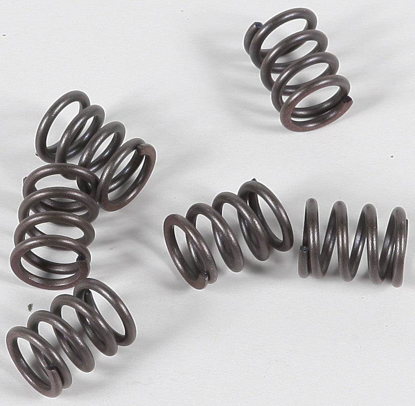 CLUTCH SPRINGS CSK21