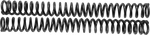 Scepter Spring