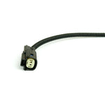 Temp Sensor Delete Plug