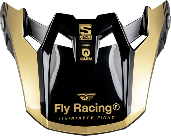 Formula S Carbon Legacy Visor (2024)