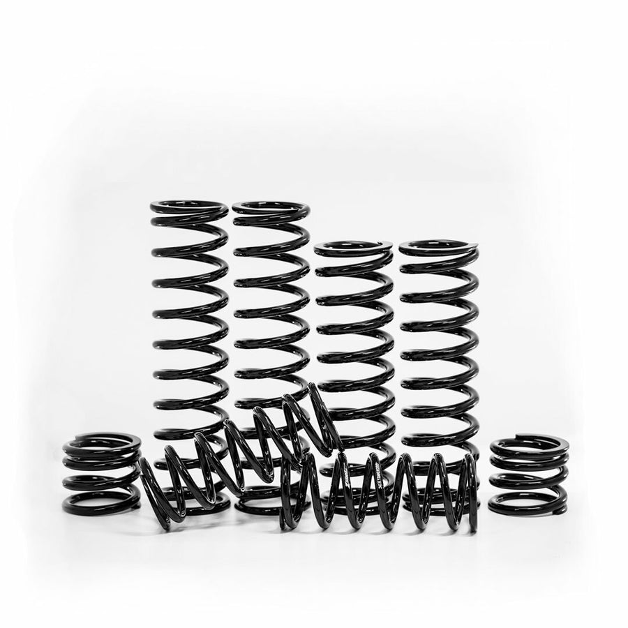 DUAL RATE SPRING KIT HON | K25-HA01-0