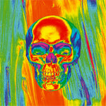 POLY MICROMESH THRML FLYDANNA SKULL | ZM595