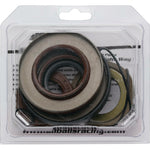 TRANSAXLE SEAL KIT | 25-2141-5