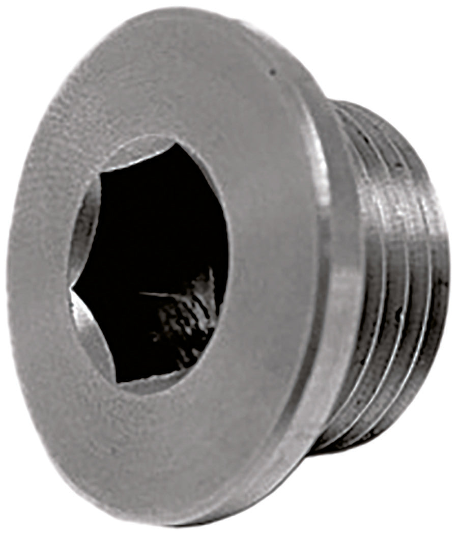 OXYGEN SENSOR PLUG