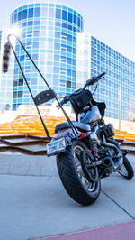STUPID TALL SISSY BAR W/BAR BLACK XL 94-03 | B13-1508B