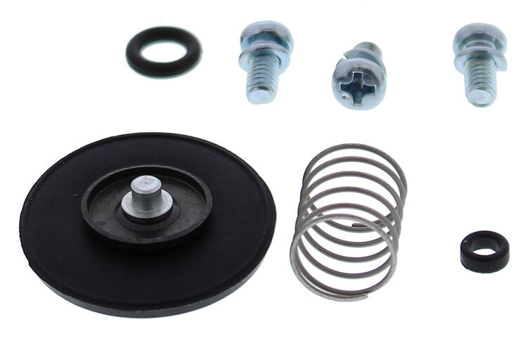 ACCEL. PUMP REBUILD KIT | 46-3003