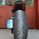 SIDE MOUNT LICENSE PLATE DUC | 1260-SIDE