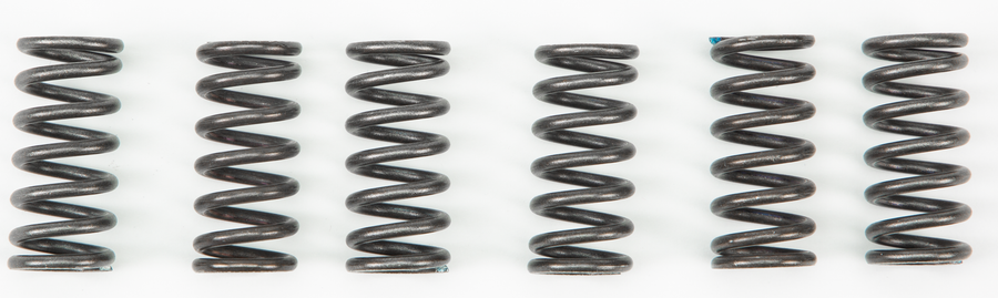 CLUTCH SPRINGS CSK2