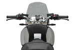 WINDSCREEN NAKED NEW GEN TOURING SMOKE BMW