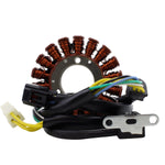 HIGH OUTPUT STATOR +20% STATOR+PICKUP+CONNECTOR | RM01049