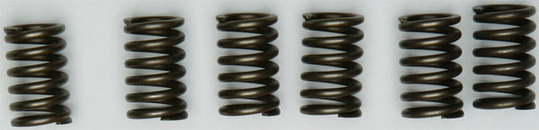 CLUTCH SPRINGS CSK131
