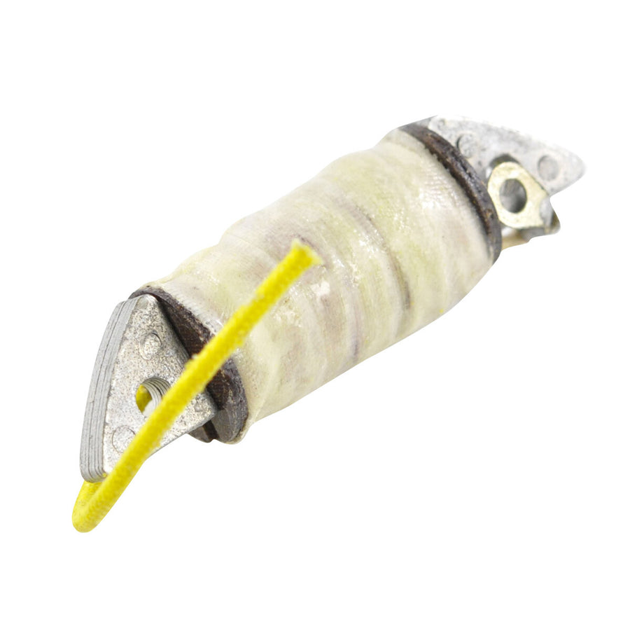 STATOR IGNITION SOURCE COIL | RM00007