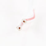 STATOR PICKUP PULSAR COIL | RM00103