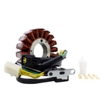 HIGH OUTPUT STATOR +20% STATOR+PICKUP+CONNECTOR | RM01049
