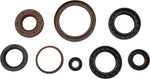 OIL SEAL SET | 822381