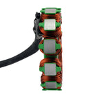 STATOR STATOR+PICKUP+CONNECTOR | RMS010-108173
