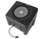 Ssv 10" Subwoofer And Box