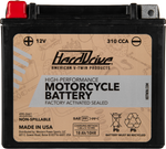 AGM Sealed Battery