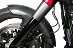 Carbon Fiber Shorty Fender
