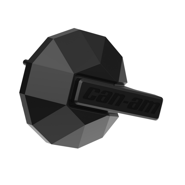 Wheel Cap