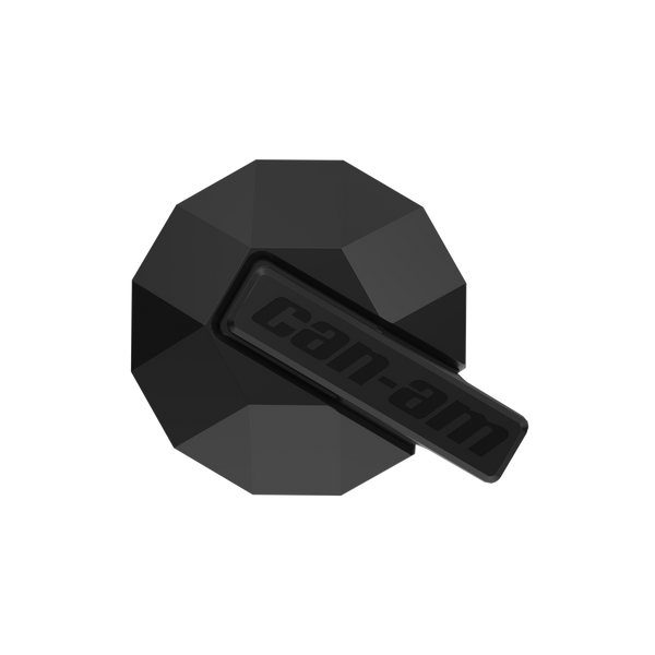 Wheel Cap