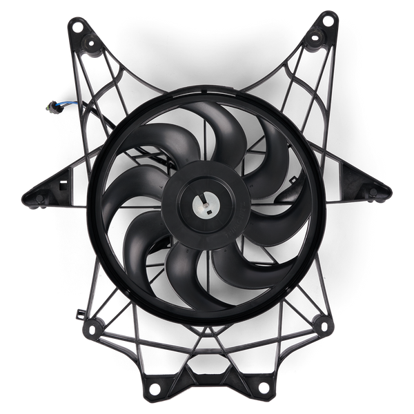 Fan
