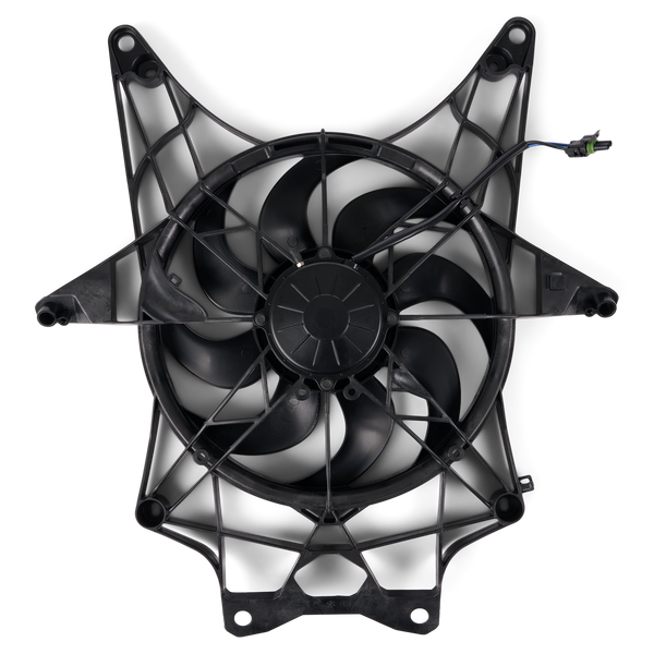 Fan
