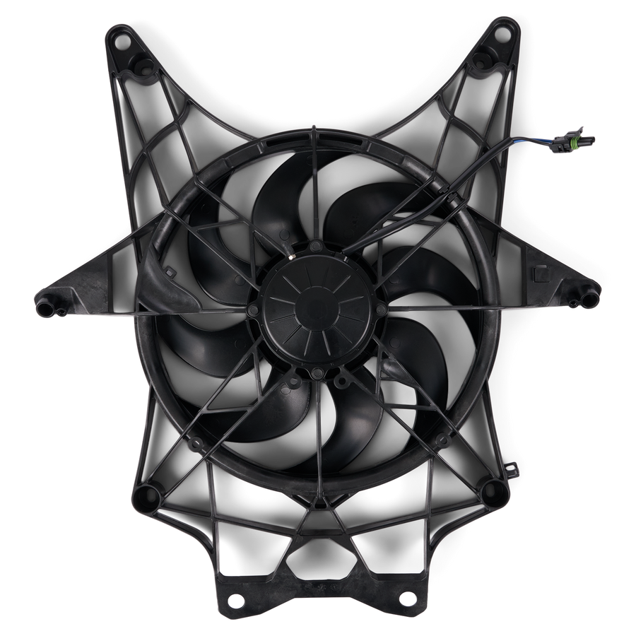 Fan