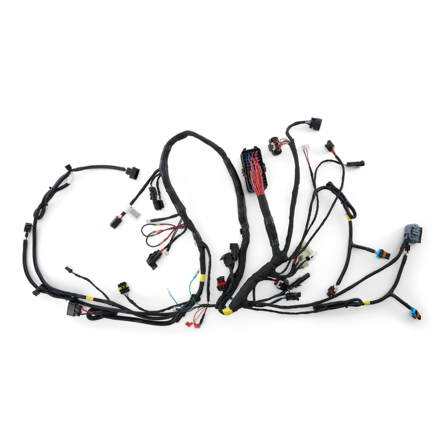 Main Harness