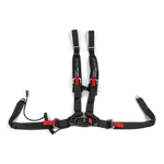 Can-Am 4-Point Harness - Driver