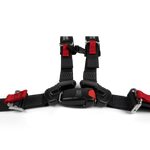 Can-Am 4-Point Harness - Passenger