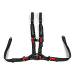 Can-Am 4-Point Harness - Passenger