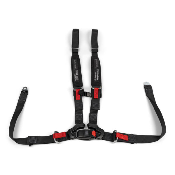 Can-Am 4-Point Harness - Passenger