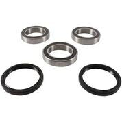 REAR WHEEL BEARING KIT