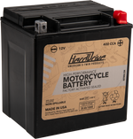 AGM Sealed Battery