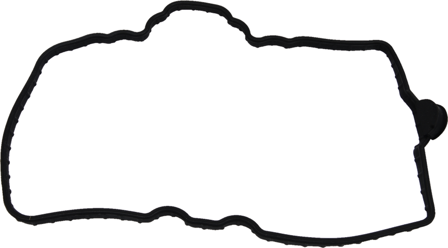 VALVE COVER GASKET POL