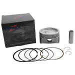 PISTON KIT CAST 79.95/STD 10.2:1 POL