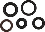 OIL SEAL KIT