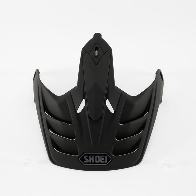 HORNET X2 VISOR MT.BLACK