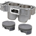 STANDARD BORE CYLINDER KIT POL