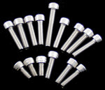 Stainless Bolt Kit