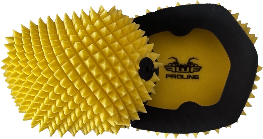 AIR FILTER PROLINE