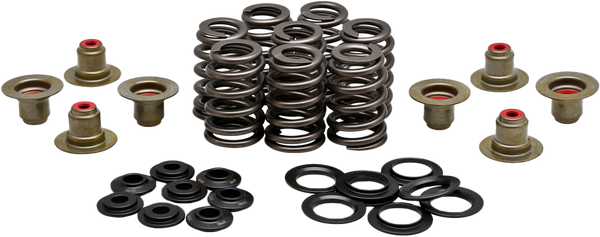 BEEHIVE VALVE SPRING KIT .550 LIFT  M8`17-24 NON VVT