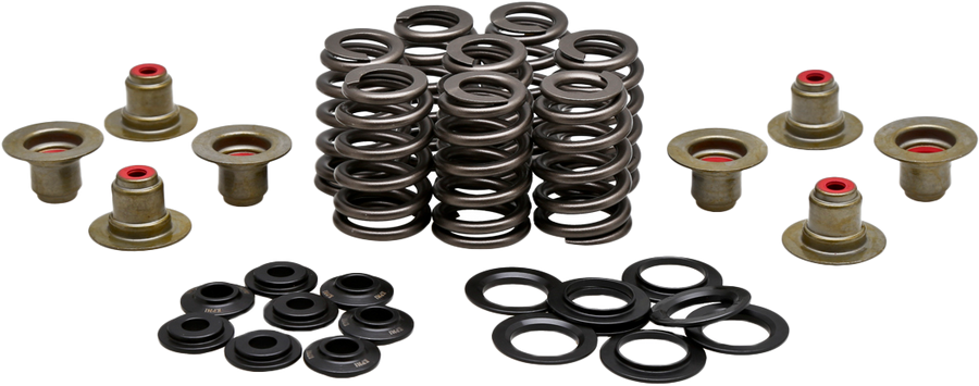 BEEHIVE VALVE SPRING KIT .550 LIFT  M8`17-24 NON VVT