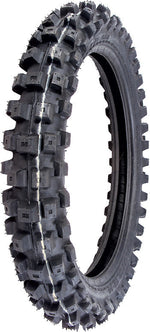 IX09/VE33 Gekkota