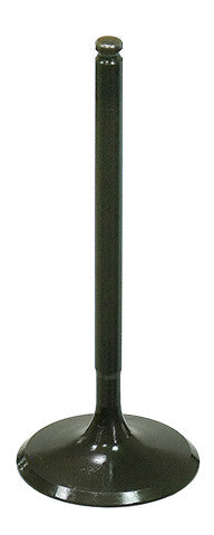 INTAKE VALVE