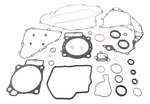 COMPLETE GASKET SET WITH OIL SEALS | 811989