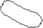 Fuel Pump Door Gasket