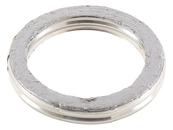 EXHAUST GASKET KIT | 823096