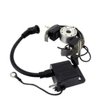 KIT STATOR/ROTOR/IGNITION ROTOR FLYWHEEL+IGNITION COIL | RMS900-107608